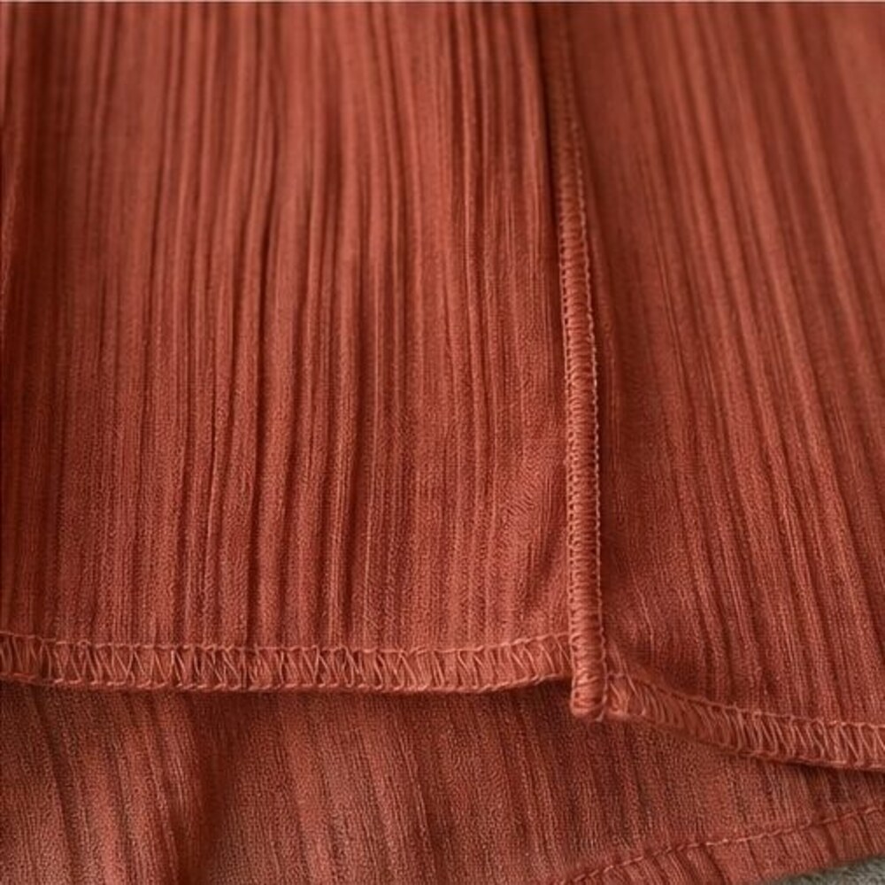 Rust Pleated Blouse - Picture 6 of 6